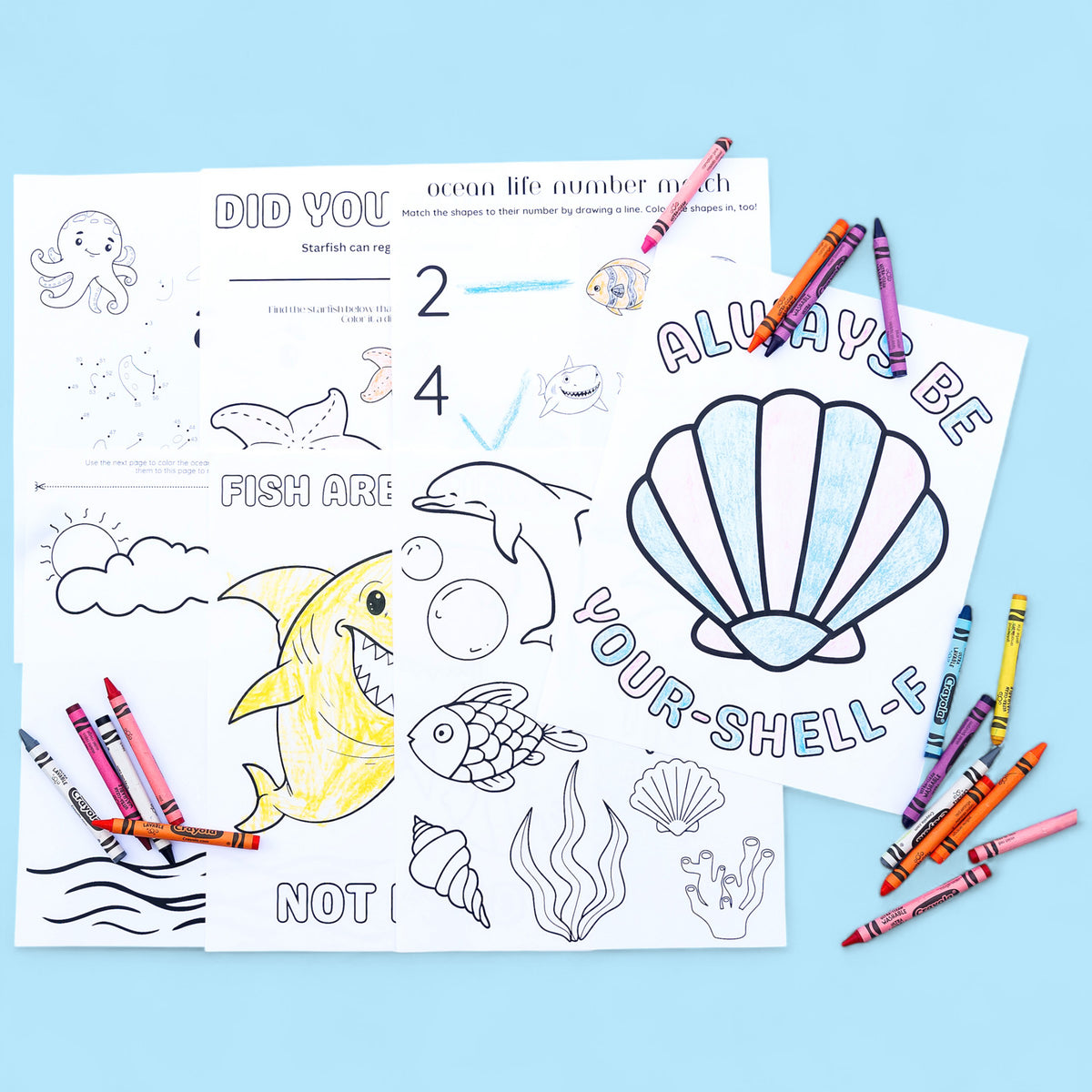 Ocean Life Coloring & Activity Pages